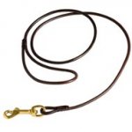 Fully Beneficial Show Leather Black Russian Terrier Leash - Comfort for You and Your Dog