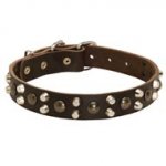 Leather Black Russian Terrier Collar With Studs and Pyramids