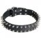 Leather Black Russian Terrier Collar with 2 Rows of Nickel Spikes