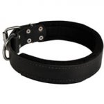 Black Russian Terrier Durable Padded Leather Collar 40 mm