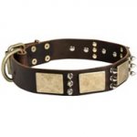 Designer War-Style Leather Black Russian Terrier Collar with Spikes and Plates