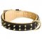 Royal Leather Black Russian Terrier Collar Spiked Padded with Nappa Leather
