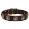 Leather Black Russian Terrier Collar with Blue Stones for Stylish Walking