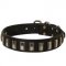 Black Russian Terrier Leather Collar with Shiny Plates