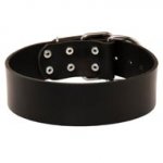 Extra Wide Leather Black Russian Terrier Collar for Professional Training