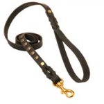 Studded Leather Black Russian Terrier Leash for Dog Walking and Training