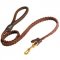 Black Russian Terrier Leather Braided Dog Leash