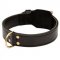 Training 2 Ply Leather Black Russian Terrier Collar
