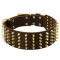 Wide Spiked Leather Black Russian Terrier Collar