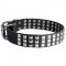 Leather Black Russian Terrier Collar with 3 Rows of Nickel Pyramids