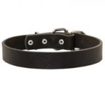 Black Russian Terrier Leather Dog Collar For Pleasant Wearing