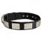Nylon Black Russian Terrier Collar Massive Nickel Plates
