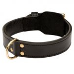 Training 2 Ply Leather Black Russian Terrier Collar