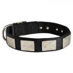Nylon Black Russian Terrier Collar Massive Nickel Plates