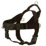 Black Russian Terrier Harness Nylon with Patches