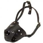 Everyday Leather Black Russian Terrier Muzzle for Training