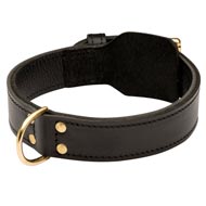 Training 2 Ply Leather Black Russian Terrier Collar