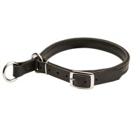 Black Russian Terrier Leather Choke Collar