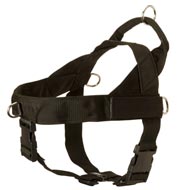 Black Russian Terrier Harness Nylon with Patches