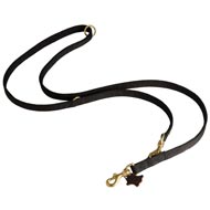 Nylon Black Russian Terrier Leash for Patrolling, Walking and Training