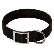 2 Ply Nylon Black Russian Terrier Collar