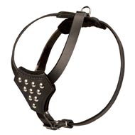 Designer Leather Black Russian Terrier Harness with Adjustable Straps for Puppy Walking and Training