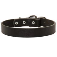 Black Russian Terrier Leather Dog Collar For Pleasant Wearing