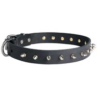 Black Russian Terrier Leather Collar Spiked 30 mm