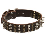 Black Russian Terrier Spikes and Studs Rows Leather Dog Collar