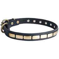Black Russian Terrier Leather Collar Brass Plates 25 mm