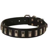 Black Russian Terrier Leather Collar with Shiny Plates
