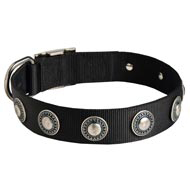 Black Russian Terrier Nylon Dog Collar with Circles Decoration