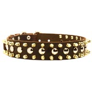 Spiked and Studded Black Russian Terrier Leather Collar