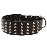 Extra Wide 4 Rows Studded Leather Black Russian Terrier Collar