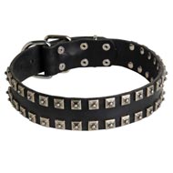 New Leather Black Russian Terrier Collar - Fashion Exclusive Design - "Caterpillar"