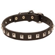Black Russian Terrier Leather Collar Caterpillar Design