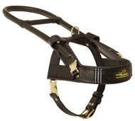 Guide and Assistance Leather Black Russian Terrier Harness