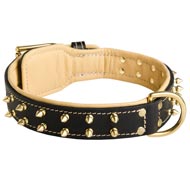 Royal Leather Black Russian Terrier Collar Spiked Padded with Nappa Leather