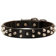 Fancy Design Leather Black Russian Terrier Collar with Nickel Pyramids