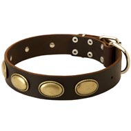Designer Leather Black Russian Terrier Collar with Oval Plates