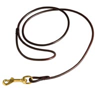 Fully Beneficial Show Leather Black Russian Terrier Leash - Comfort for You and Your Dog