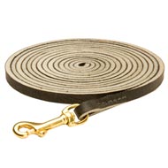 Long Leather Black Russian Terrier Leash for Tracking, Training and Walking