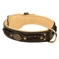 Black Russian Terrier Leather Collar Braided