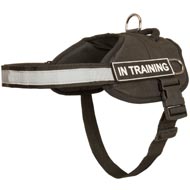 Nylon Black Russian Terrier Harness with Reflective Strap for Training, Walking, Police Service, SAR and More