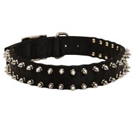 Black Russian Terrier Nylon Collar Spiked