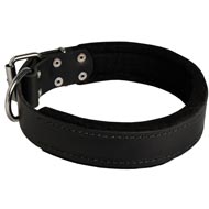 Black Russian Terrier Durable Padded Leather Collar 40 mm