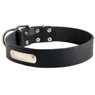 Classic Leather Black Russian Terrier Collar with Identification Tag