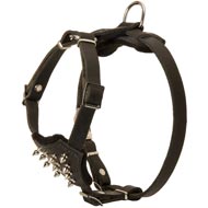 Durable Spiked Leather Puppy Black Russian Terrier Harness