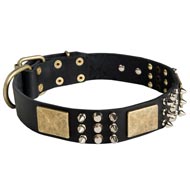 Spiked Leather Black Russian Terrier Collar with Plates and Cones