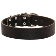 Wide Leather Black Russian Terrier Collar for Training and Walking